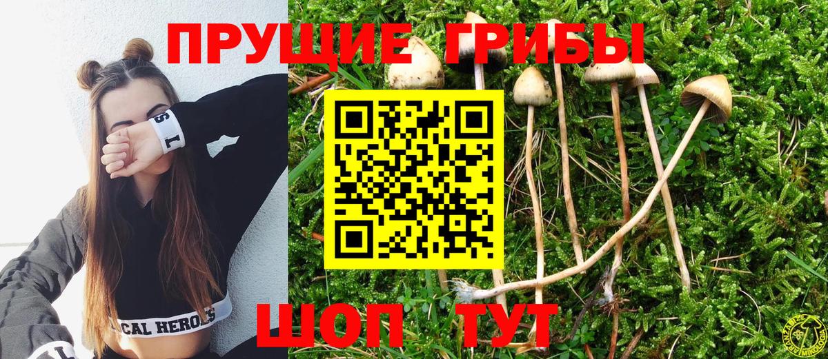 Псилоцибиновые грибы MAGIC MUSHROOMS Междуреченск